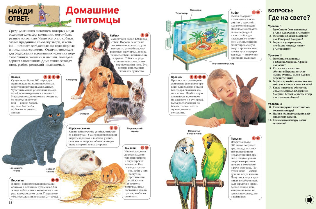 Интерактивная энциклопедия для школьников. Ответы на 1000 вопросов