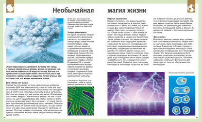 Универсальная школьная энциклопедия