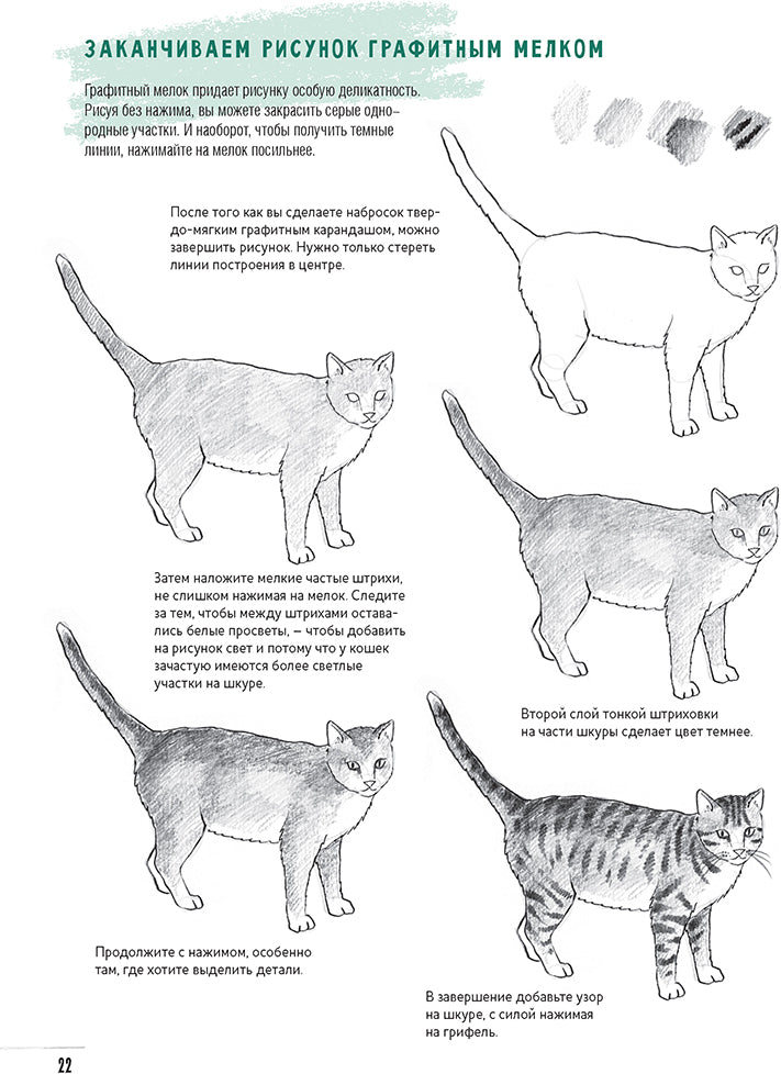 Скетчбук.Создаем наброски животных и птиц шаг за шагом:50 проектов с подроб.объяснениями