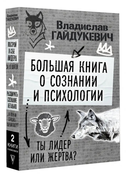 Большая книга о сознании и психологии: ты лидер или жертва?