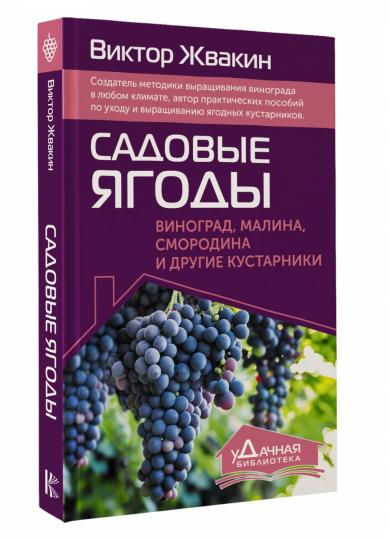 Садовые ягоды. Виноград, малина, смородина и другие кустарники