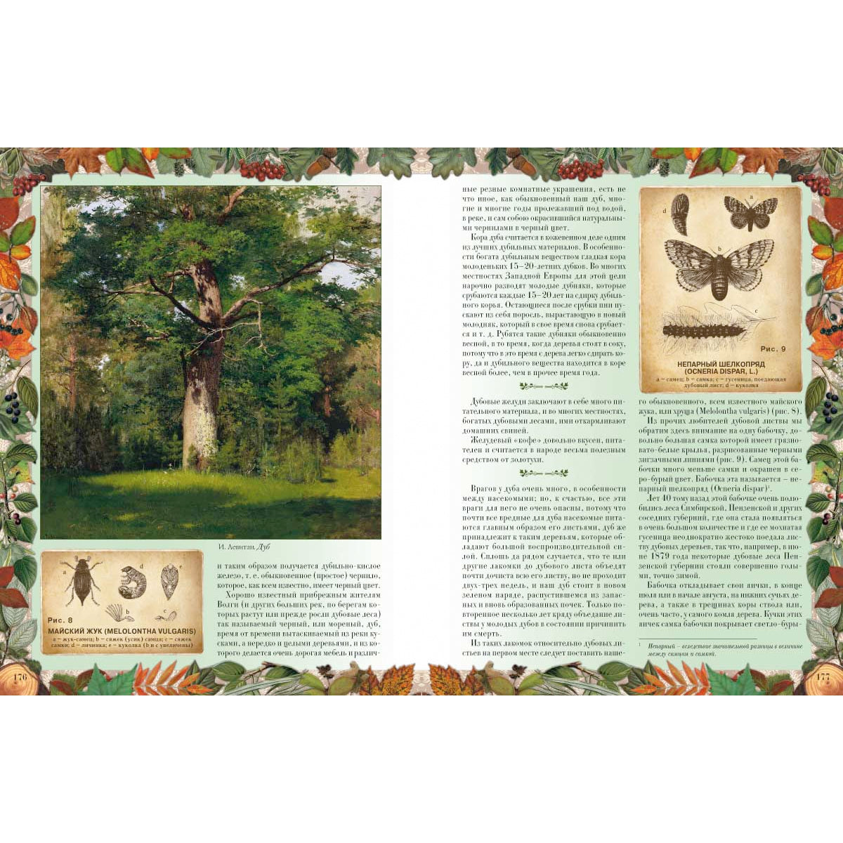 Беседы о русском лесе