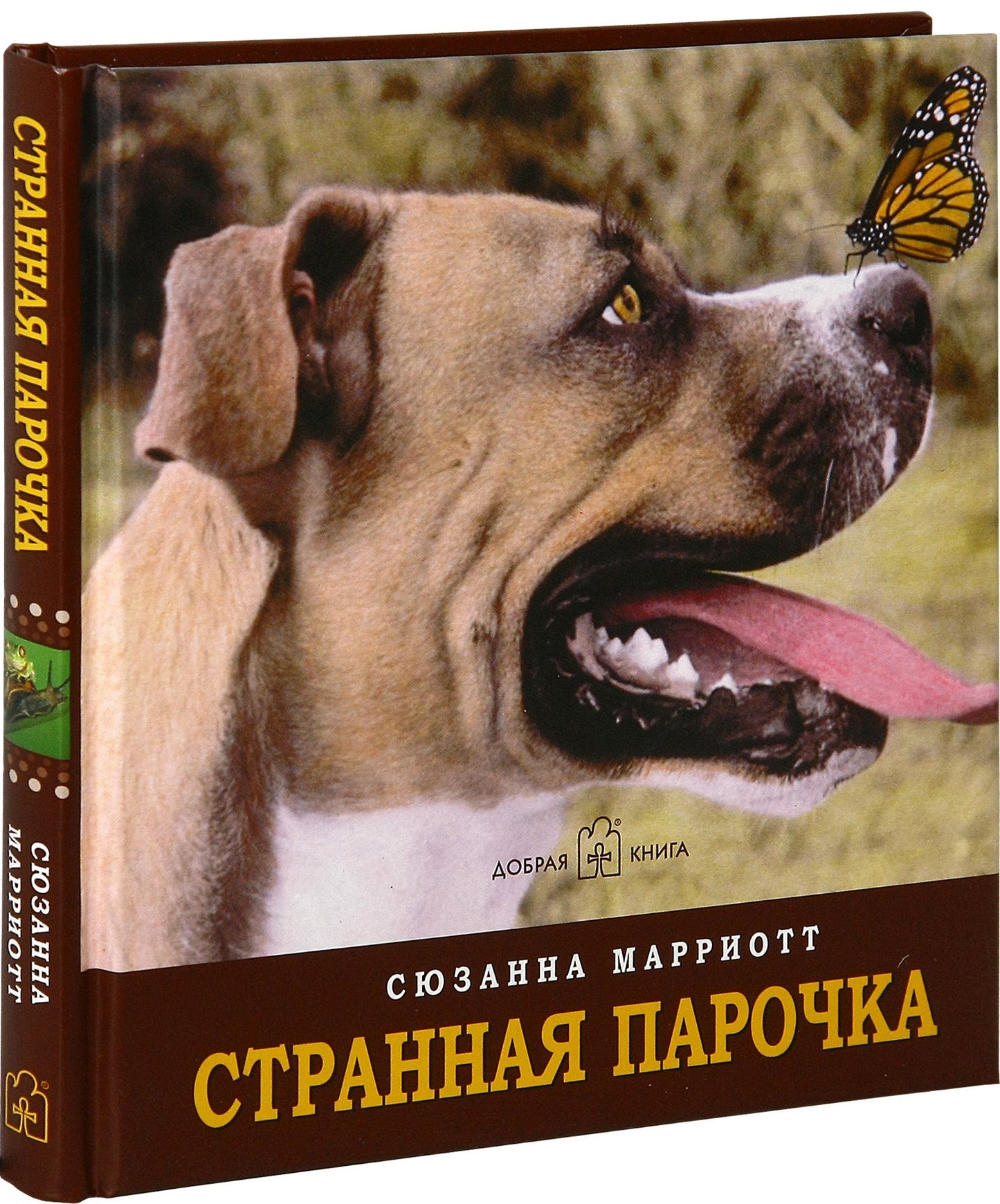 Странная парочка. Марриотт С.