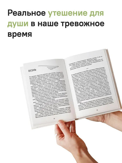 Городские в деревне, или Вечное лето