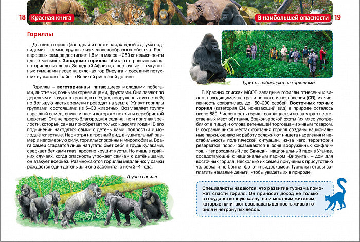 Красная книга (ДЭР)