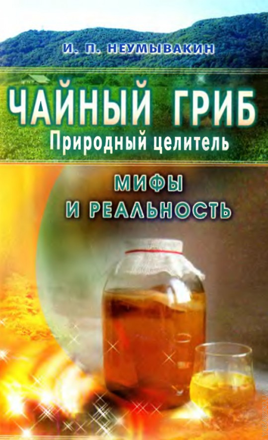 Чайный гриб-природный целитель. Мифы и реальность