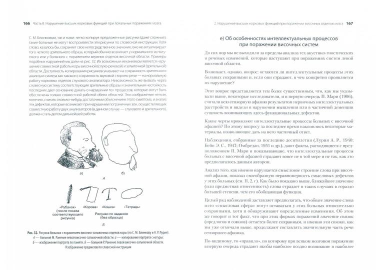 Высшие корковые функции человека