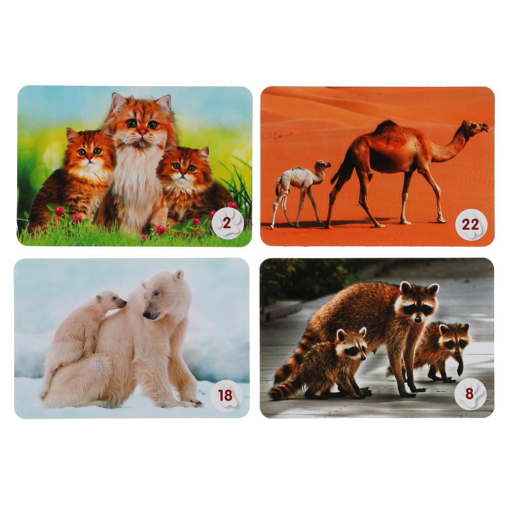 Мамы и малыши. Карточная игра Мемо. 50 карточек 65х95мм. Кор.: 125х170х40мм. Умные игры в кор.50шт