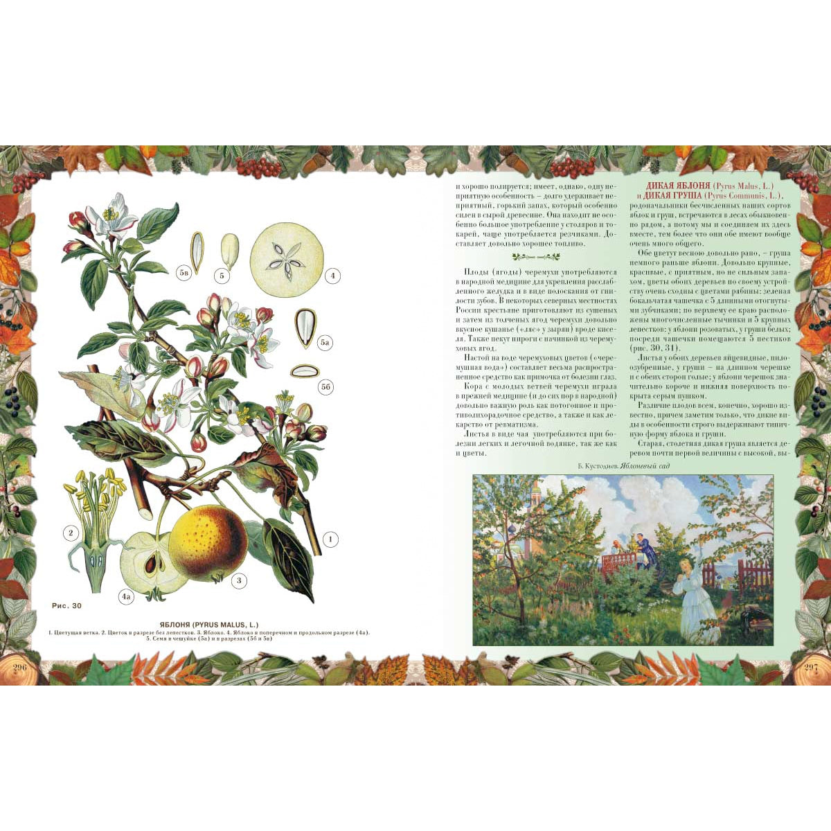 Беседы о русском лесе