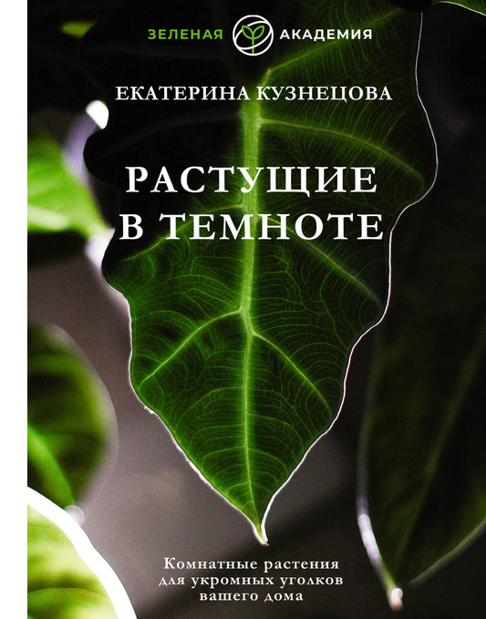 Растущие в темноте. Комнатные растения для укромных уголков вашего дома