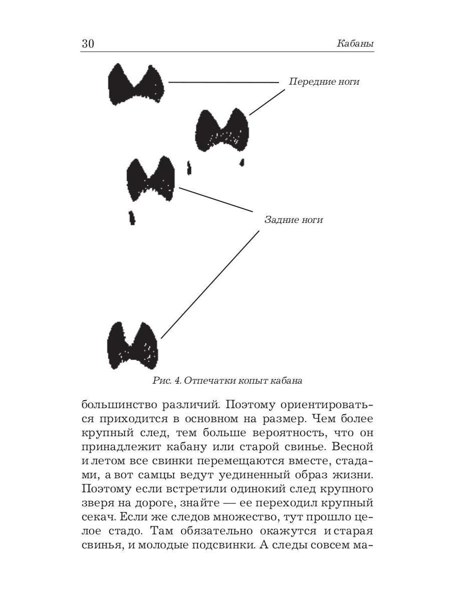 Охота на кабана