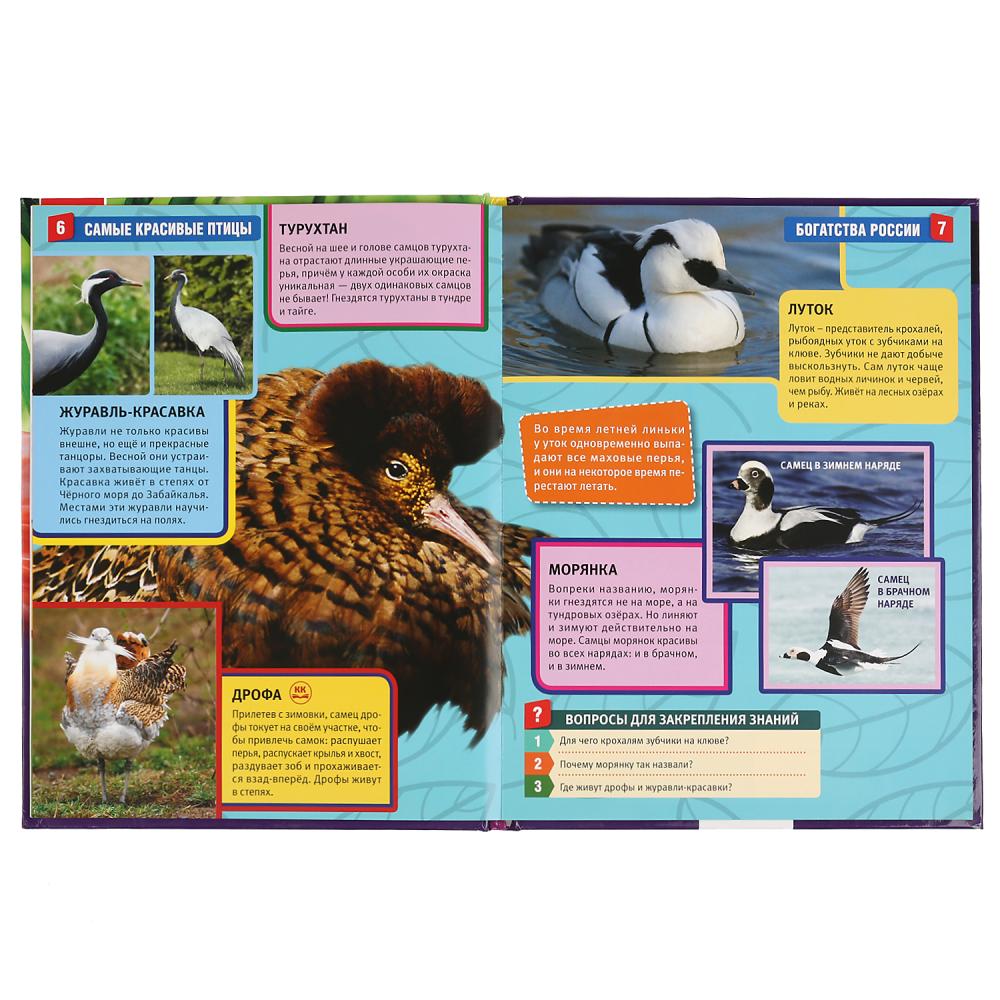 "УМКА". САМЫЕ КРАСИВЫЕ ПТИЦЫ (ЭНЦИКЛОПЕДИЯ А4 С РАЗВИВАЮЩИМИ ЗАДАНИЯМИ). ТВЕРДЫЙ ПЕРЕПЛЕТ в кор.15шт