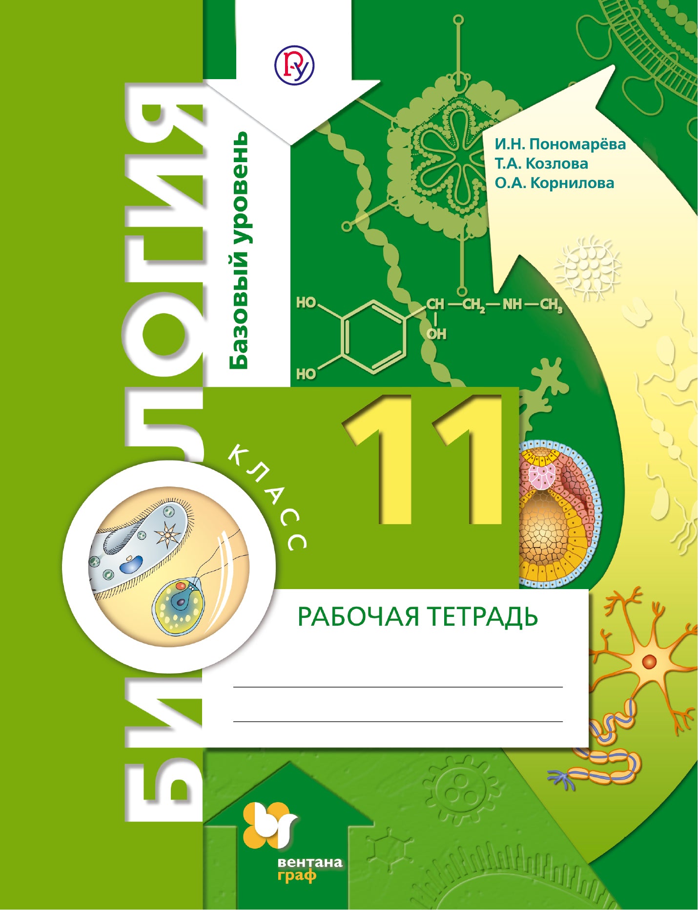 Биология. 11 класс. Базовый уровень. Рабочая тетрадь
