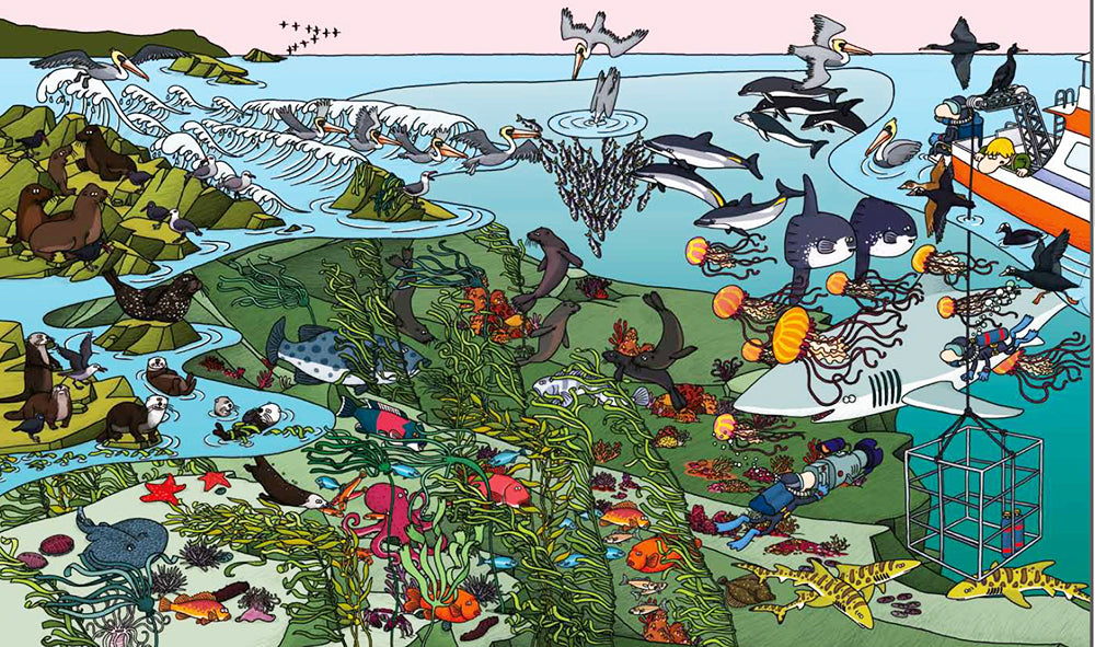 Океаны. Найди и покажи