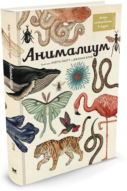 Анималиум