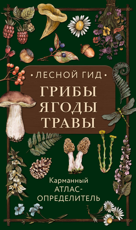 Лесной гид: грибы, ягоды, травы. Карманный атлас-определитель