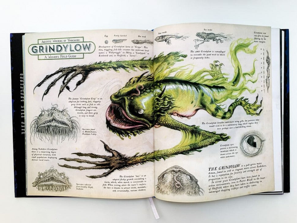 Harry Potter and the Prisoner of Azkaban Illustrated Edition(J.K. Rowling) Гарри Поттер и Узник Азкабана Илл. издание/Книги на английском языке