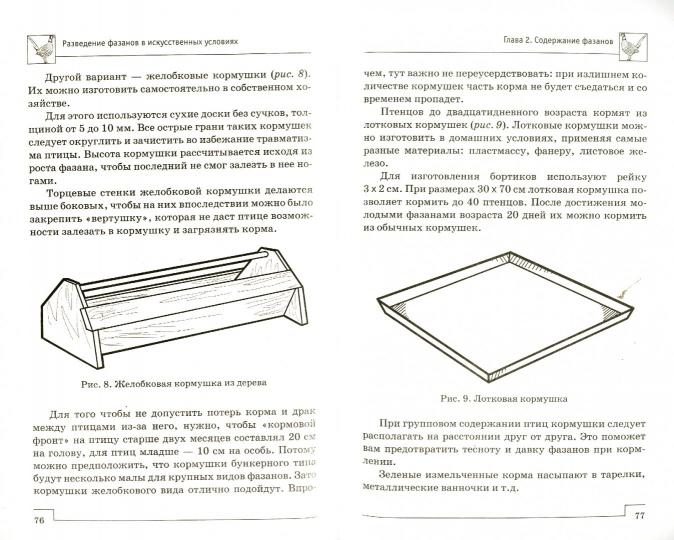 Разведение фазанов в искусственных условиях
