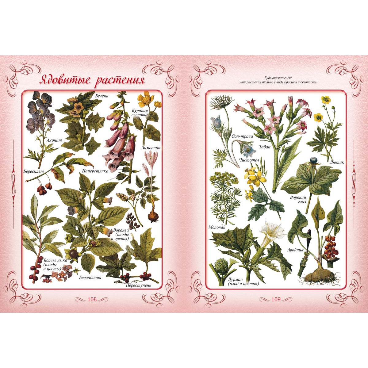 Первая книга наших прабабушек