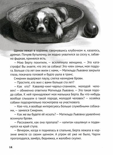 ДЕТСКИЙ ДЕТЕКТИВ. Дело о похищенной собаке